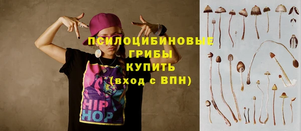 твердый Липки
