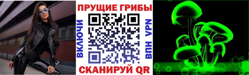 Купить закладки  Лесной  Галлюциногенные грибы ЛСД 