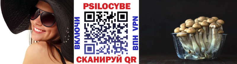 Галлюциногенные грибы мицелий Лесной